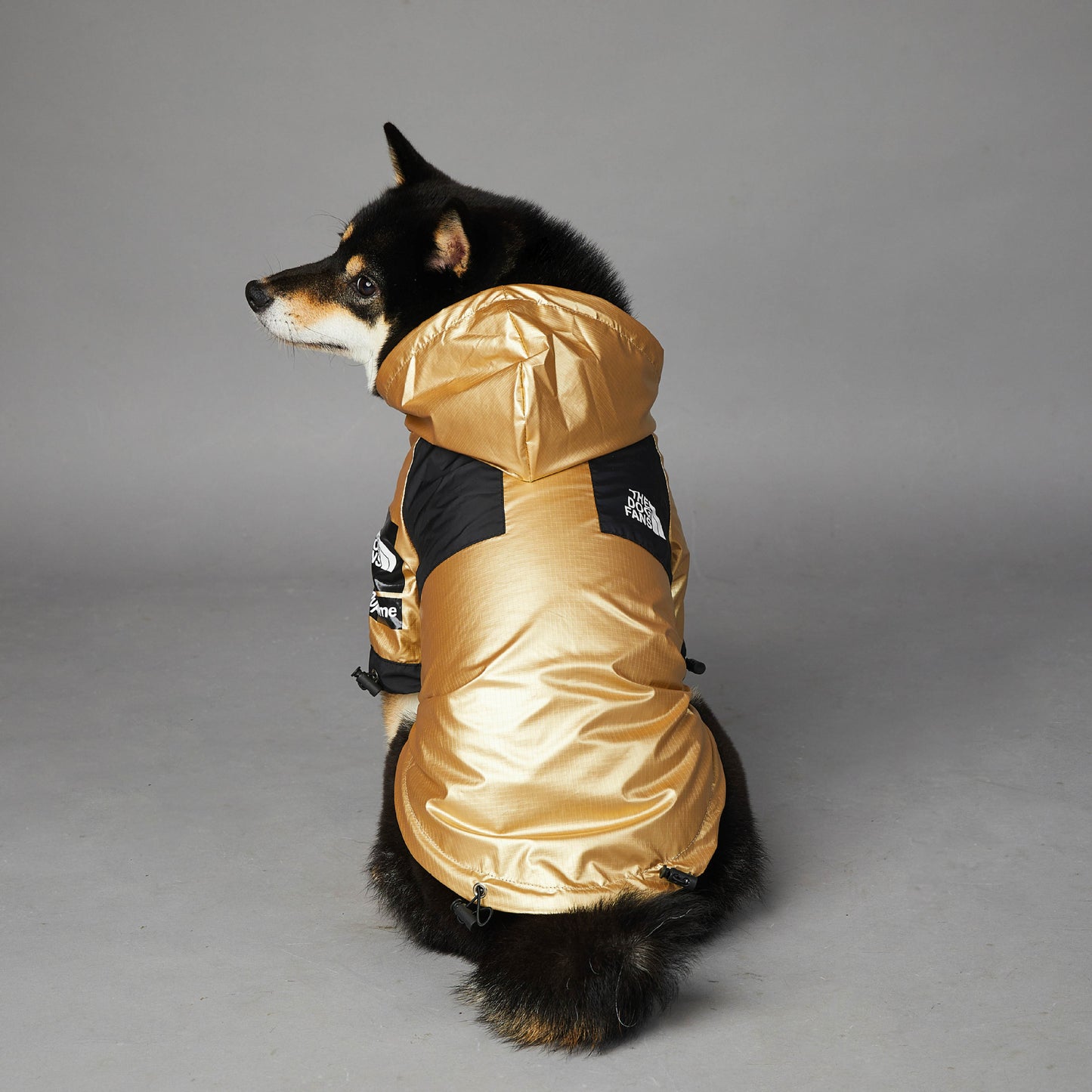 'The Pet Face' Dog Raincoat Black and Gold