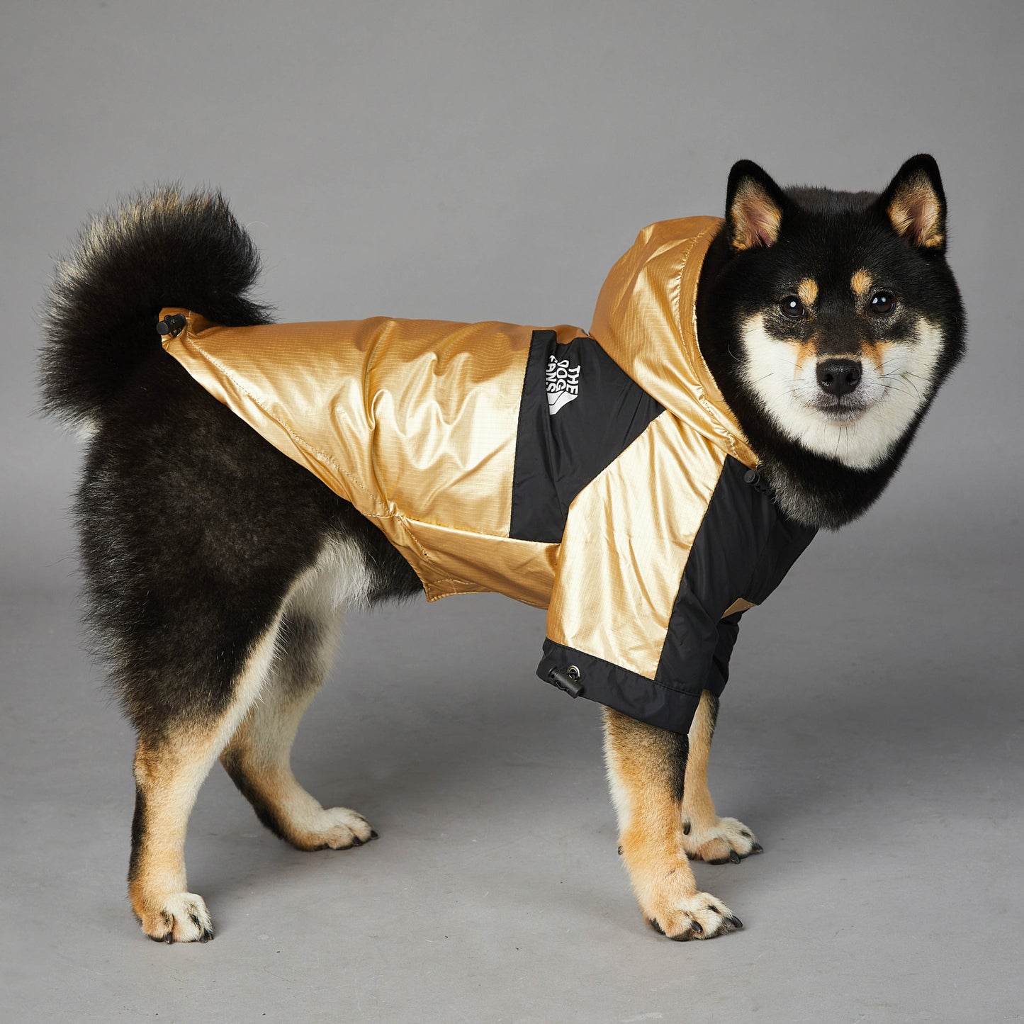 'The Pet Face' Dog Raincoat Black and Gold