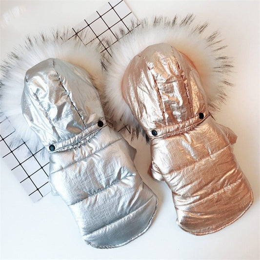 Cotton Hooded Dog Jacket - Silver/Gold