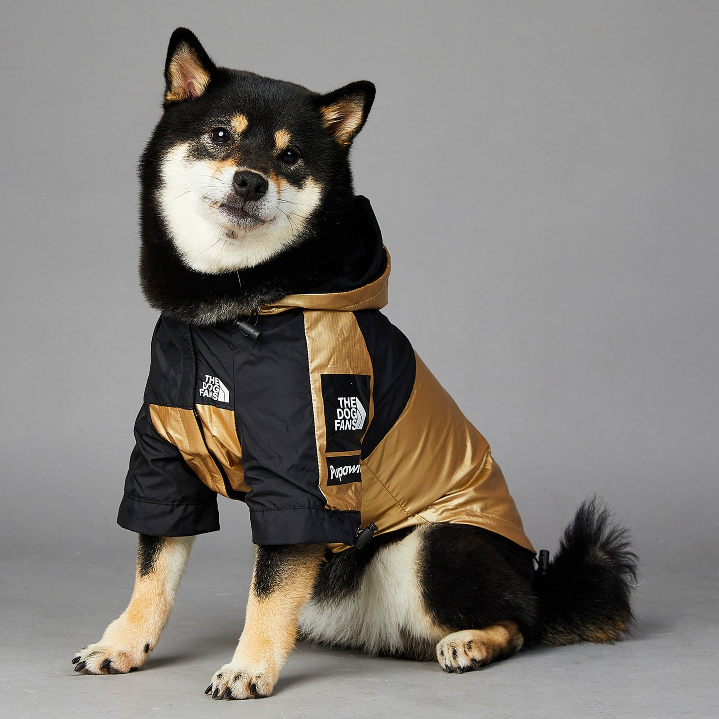 'The Pet Face' Dog Raincoat Black and Gold